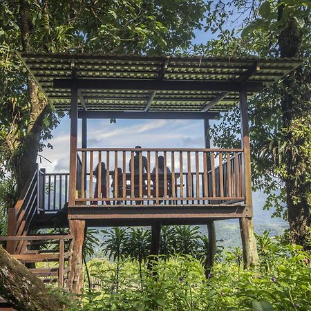 "Hana'S Celeste Retreat" Large Modern Villa Sleeps 6 On 20 Acres Of Nature! Bijagua Exterior foto
